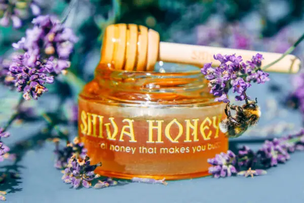 Shiva Honey